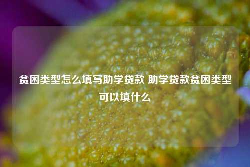 贫困类型怎么填写助学贷款 助学贷款贫困类型可以填什么