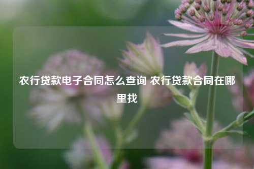 农行贷款电子合同怎么查询 农行贷款合同在哪里找