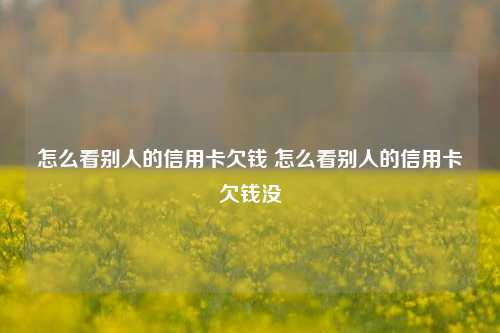 怎么看别人的信用卡欠钱 怎么看别人的信用卡欠钱没