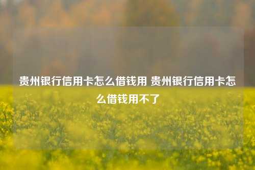 贵州银行信用卡怎么借钱用 贵州银行信用卡怎么借钱用不了