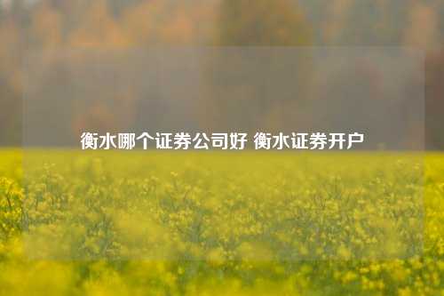 衡水哪个证券公司好 衡水证券开户