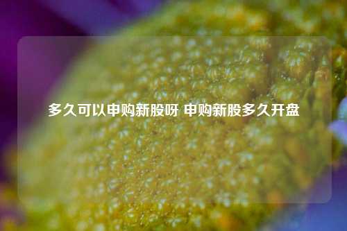 多久可以申购新股呀 申购新股多久开盘