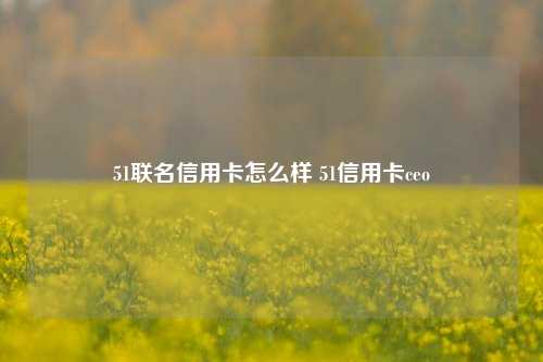 51联名信用卡怎么样 51信用卡ceo