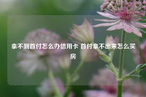 拿不到首付怎么办信用卡 首付拿不出来怎么买房