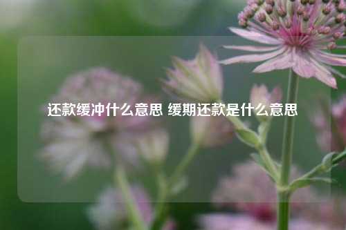 还款缓冲什么意思 缓期还款是什么意思