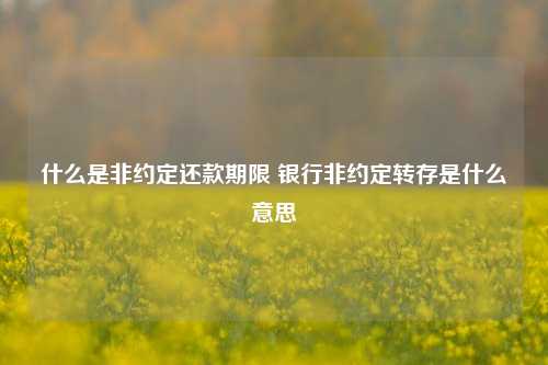 什么是非约定还款期限 银行非约定转存是什么意思