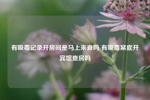 有吸毒记录开房间是马上来查吗 有吸毒案底开宾馆查房吗