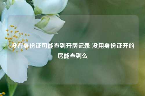 没有身份证可能查到开房记录 没用身份证开的房能查到么