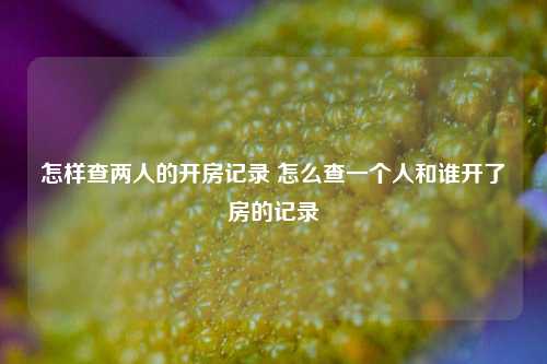 怎样查两人的开房记录 怎么查一个人和谁开了房的记录