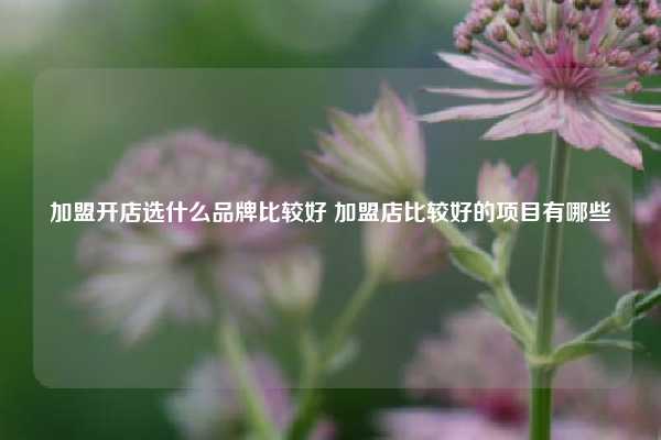 加盟开店选什么品牌比较好 加盟店比较好的项目有哪些