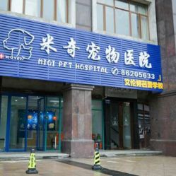 重庆友好宠物医院营业时间 重庆宠物友好门店在哪里