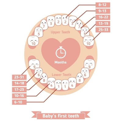 牙齿属于哪个星座 牙齿是哪个脏器好坏的标准