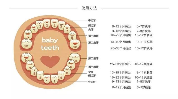 牙齿属于哪个星座 牙齿是哪个脏器好坏的标准