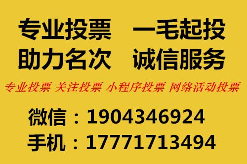 人工投票s价格多少钱 人工投票算刷票吗?