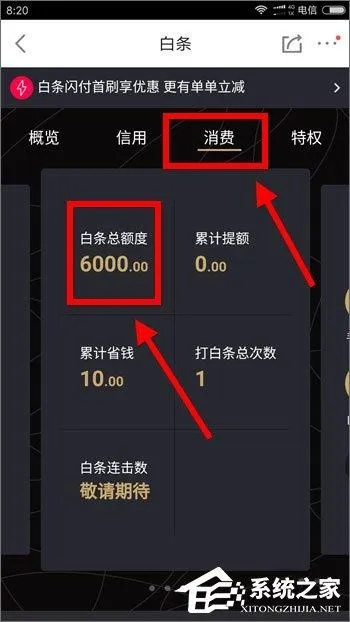 金融白条如何套出来还款 金融app白条