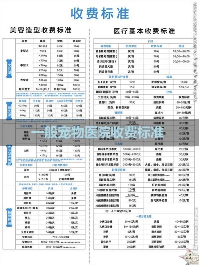 常州哪里有宠物医院 常州宠物医院收费标准