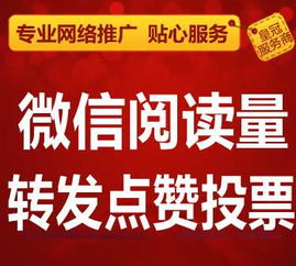 人工微信代投票价格多少钱 微信人工投票10元500票