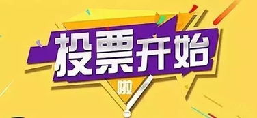 庆阳微信人工投票价格多少钱 微信人工投票10元500票