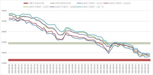 可转债下跌了怎么挽回利润 可转债跌了怎么办