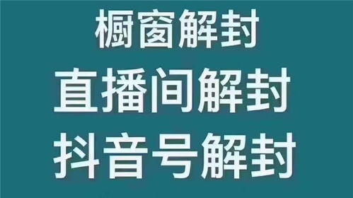 北京抖音搜索广告推广 北京抖音搜索广告推广公司