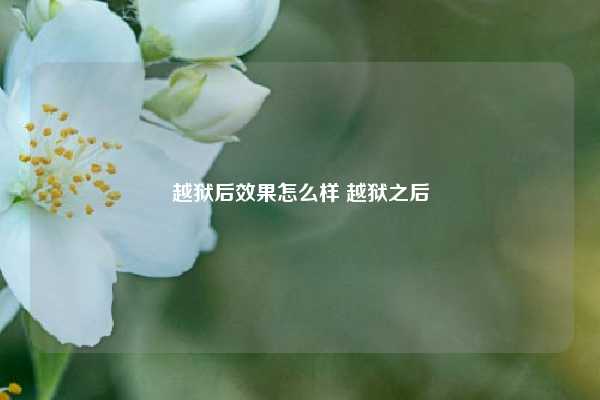 越狱后效果怎么样 越狱之后