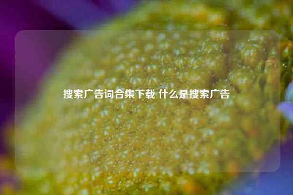 搜索广告词合集下载 什么是搜索广告