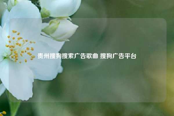 贵州搜狗搜索广告歌曲 搜狗广告平台