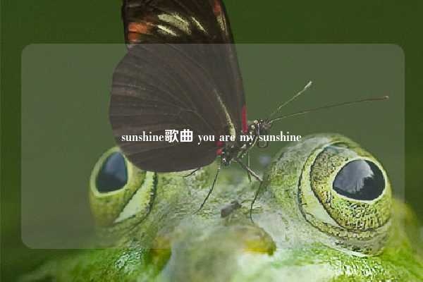 sunshine歌曲 you are my sunshine