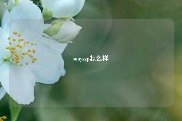 sonyxzp怎么样