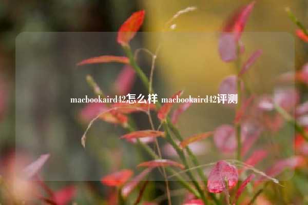 macbookaird42怎么样 macbookaird42评测