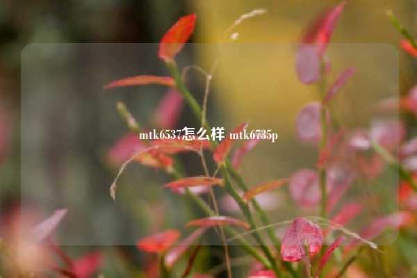 mtk6537怎么样 mtk6735p