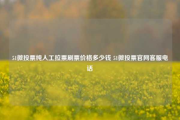 51微投票纯人工拉票刷票价格多少钱 51微投票凯发网址官网客服电话