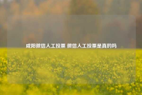 咸阳微信人工投票 微信人工投票是真的吗